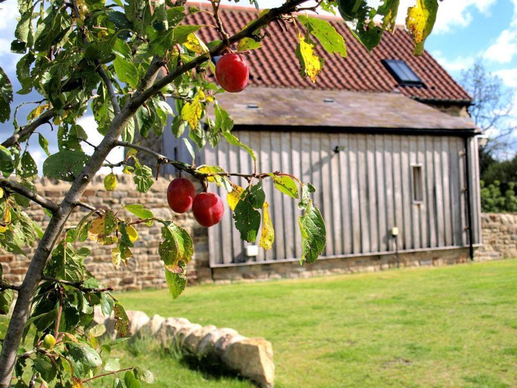 Witton le Wear Plum Tree Cottage מראה חיצוני תמונה